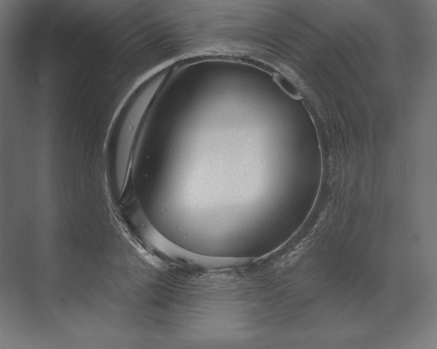 X0000074010838200609061047