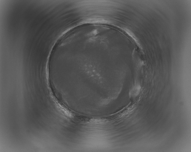 X0000074010840200609061047