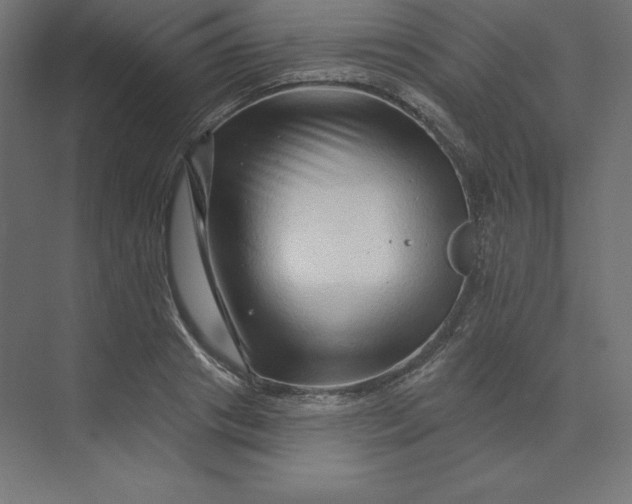 X0000074010841200609061047