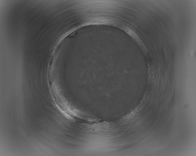 X0000074010842200609061047