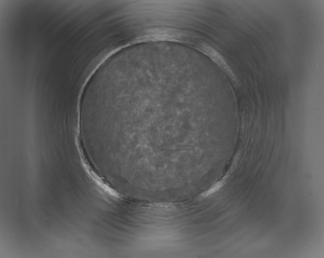 X0000074010844200609061047