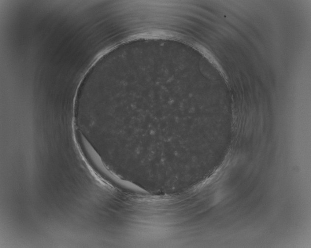 X0000074010845200609061047