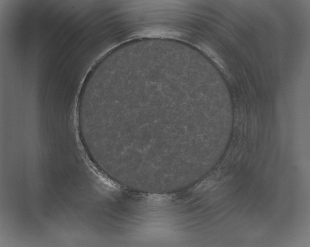 X0000074010848200609061047