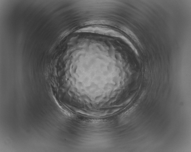 X0000074010849200609061047