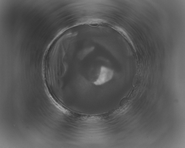 X0000074010851200609061047