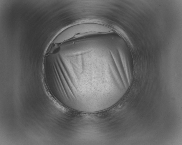 X0000074010852200609061048