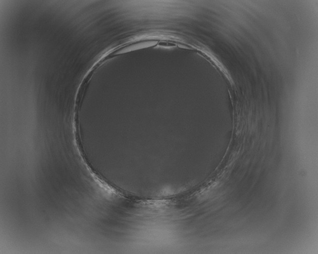 X0000074010853200609061048