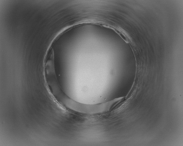 X0000074010854200609061048