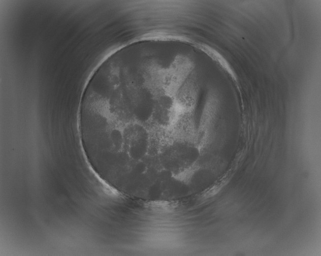 X0000074010855200609061048