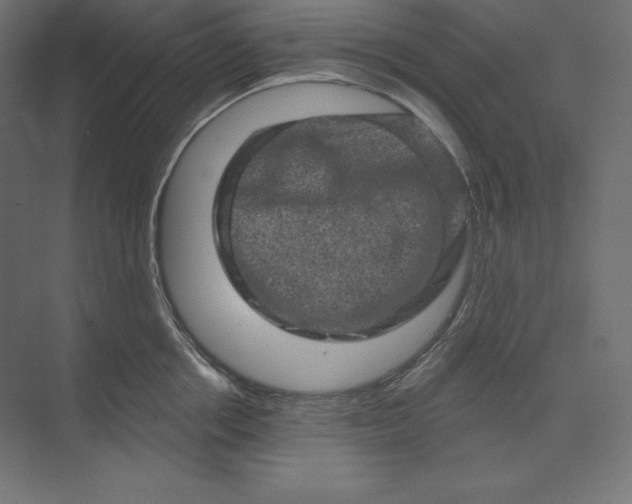 X0000074010858200609061048