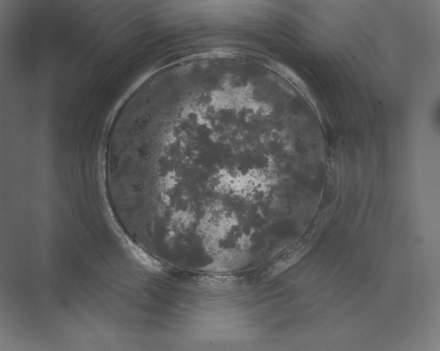 X0000074010859200609061048