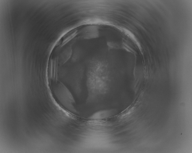 X0000074010863200609061048