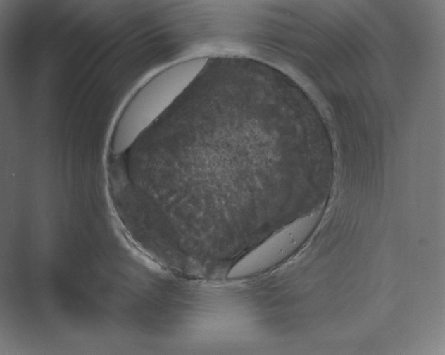 X0000074010864200609061048