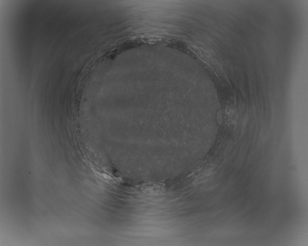 X0000074010865200609061047