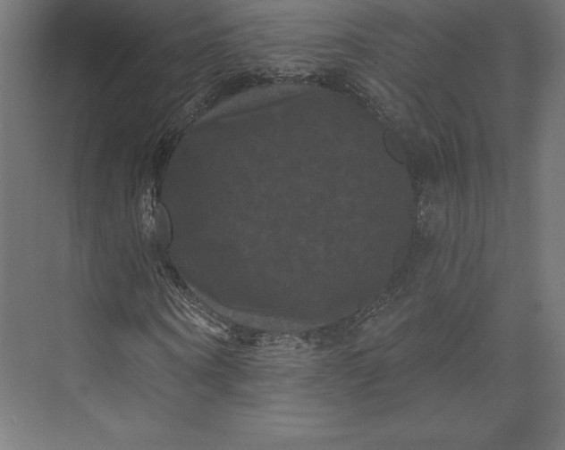 X0000074010866200609061047