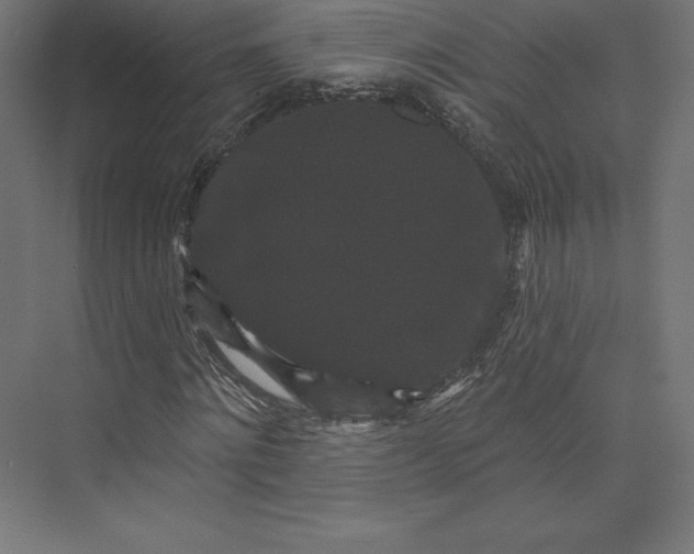 X0000074010868200609061047