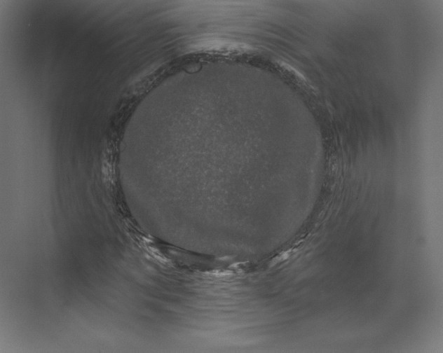 X0000074010869200609061047