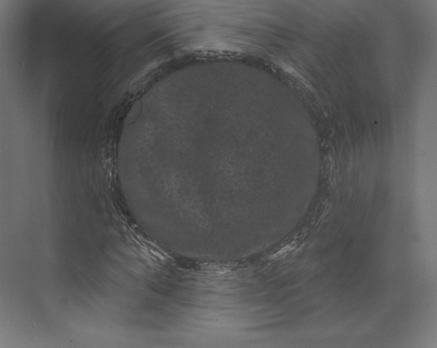 X0000074010870200609061047