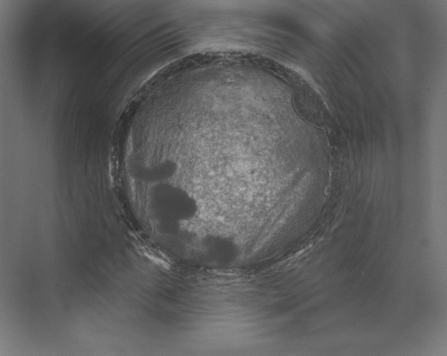 X0000074010871200609061047