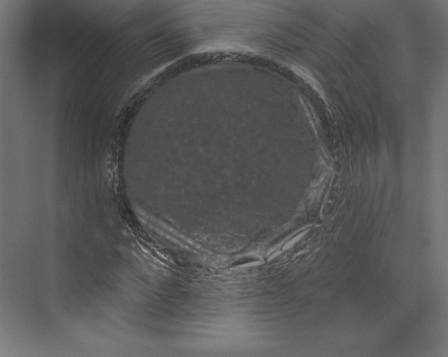 X0000074010872200609061047