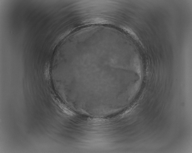 X0000074010873200609061047