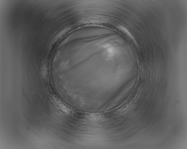 X0000074010874200609061047