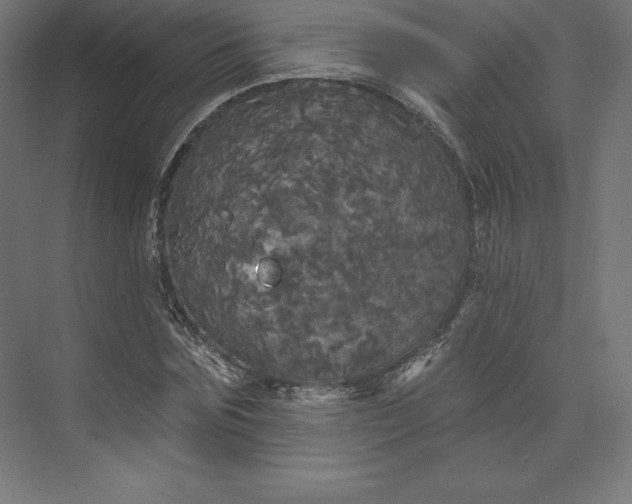 X0000074010875200609061047