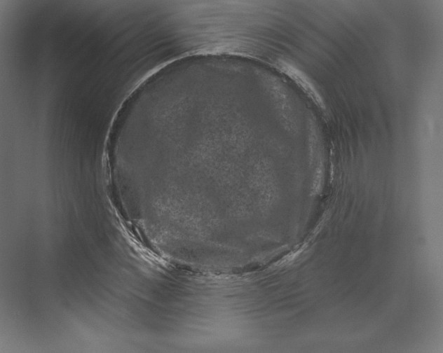 X0000074010876200609061047