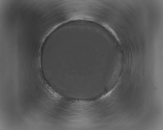 X0000074010877200609061047