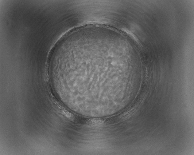 X0000074010878200609061047