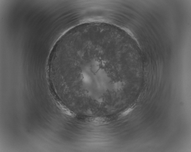 X0000074010879200609061047