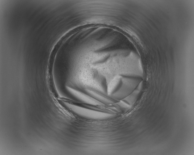 X0000074010880200609061047