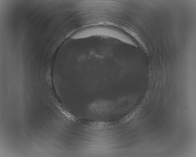 X0000074010881200609061047