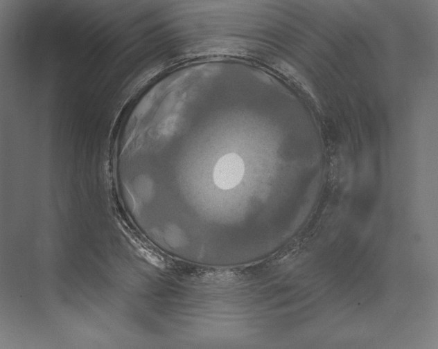 X0000074010882200609061047