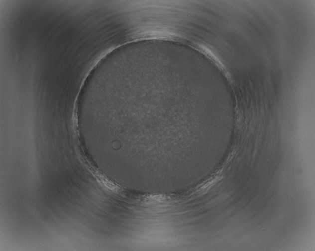 X0000074010883200609061047