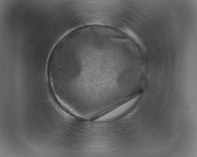 X0000074010884200609061047