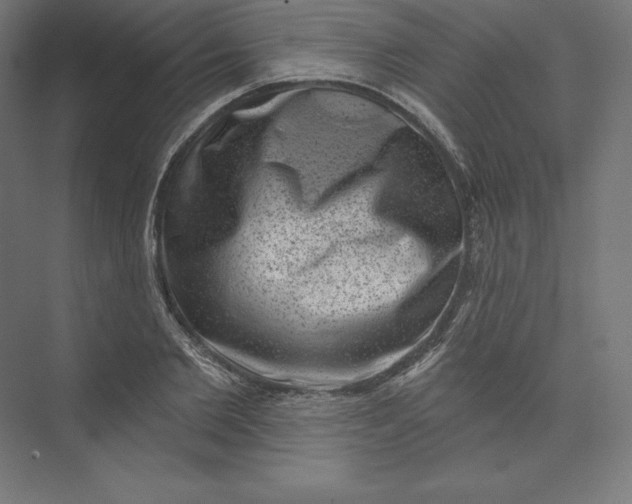 X0000074010885200609061047