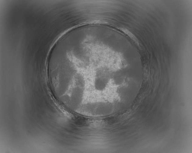 X0000074010886200609061047