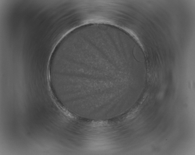 X0000074010887200609061047