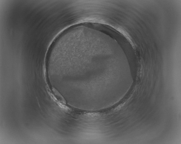 X0000074010888200609061047