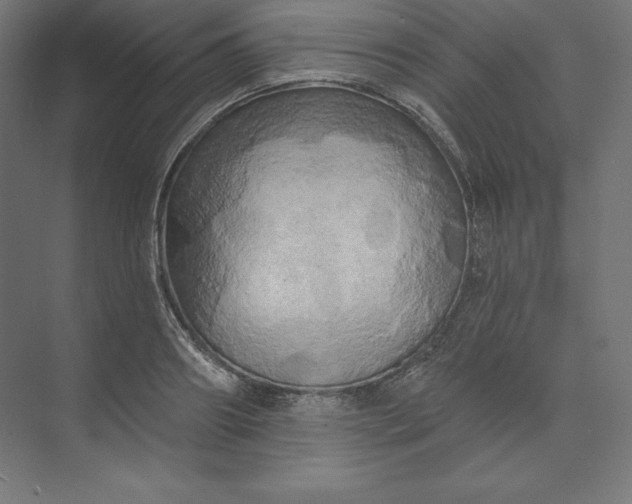 X0000074010890200609061046