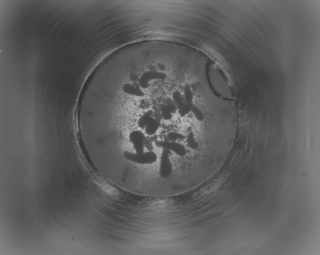 X0000074010891200609061046