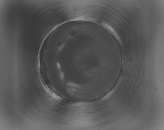 X0000074010892200609061046