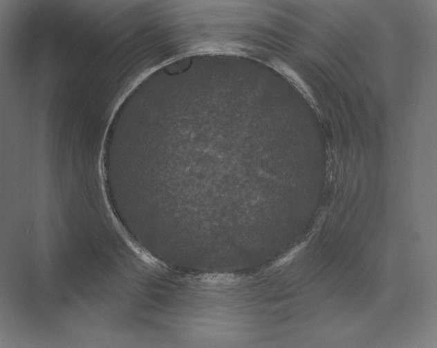 X0000074010893200609061046