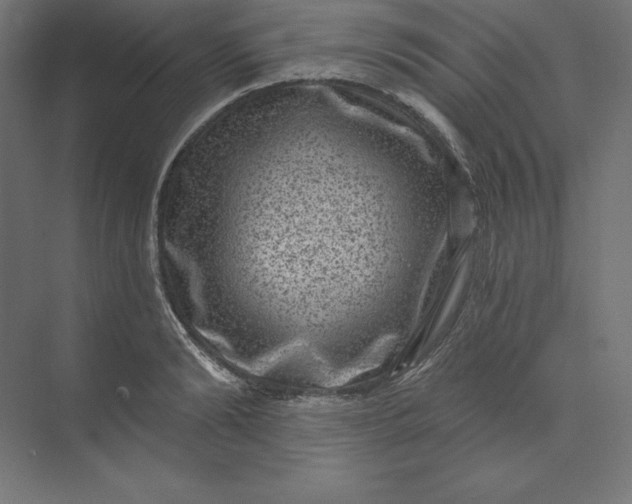 X0000074010894200609061046