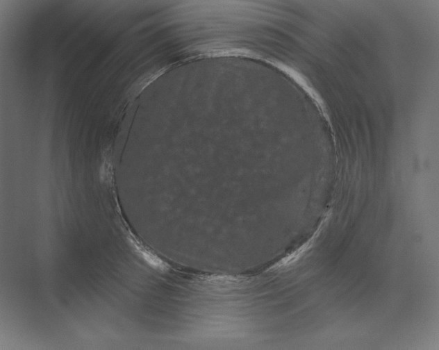 X0000074010897200609061046