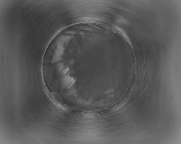 X0000074010899200609061046