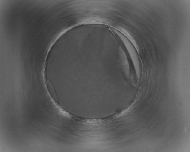 X0000074010901200609061046