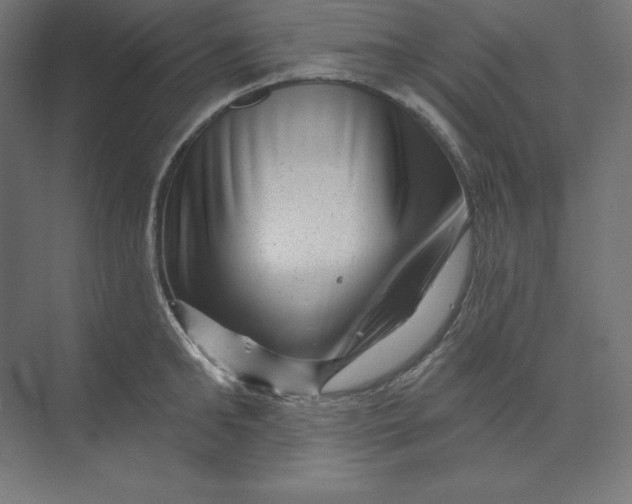 X0000074010902200609061046