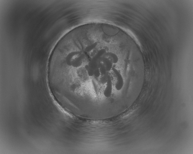 X0000074010903200609061046